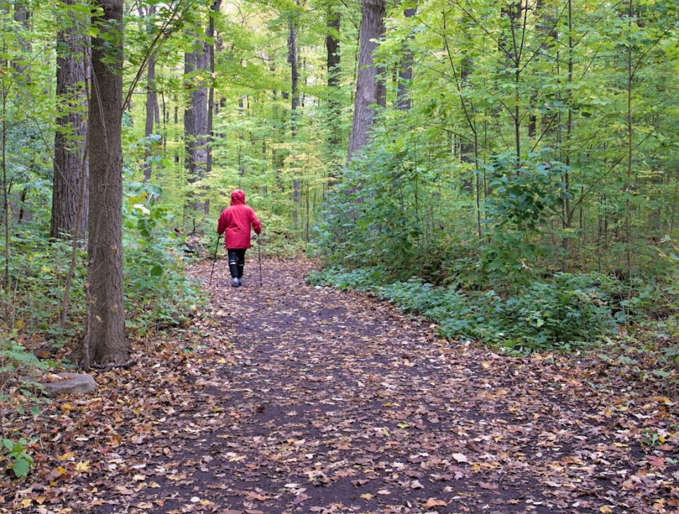 Seria bezpłatnych zajęć z nordic walking organizowana przez Stołeczne Centrum Sportu AKTYWNA WARSZAWA